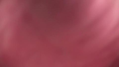 21186